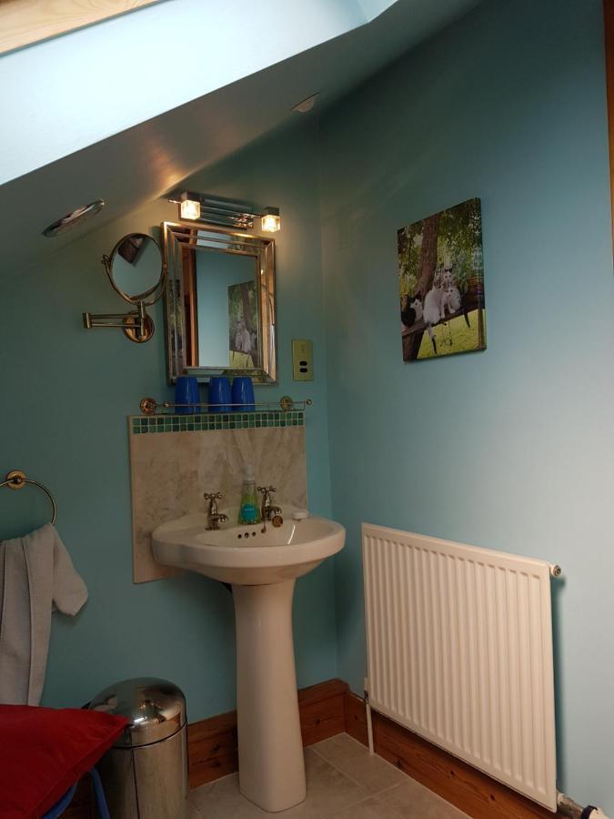 Hotel Norwegian Wood à Paignton Extérieur photo